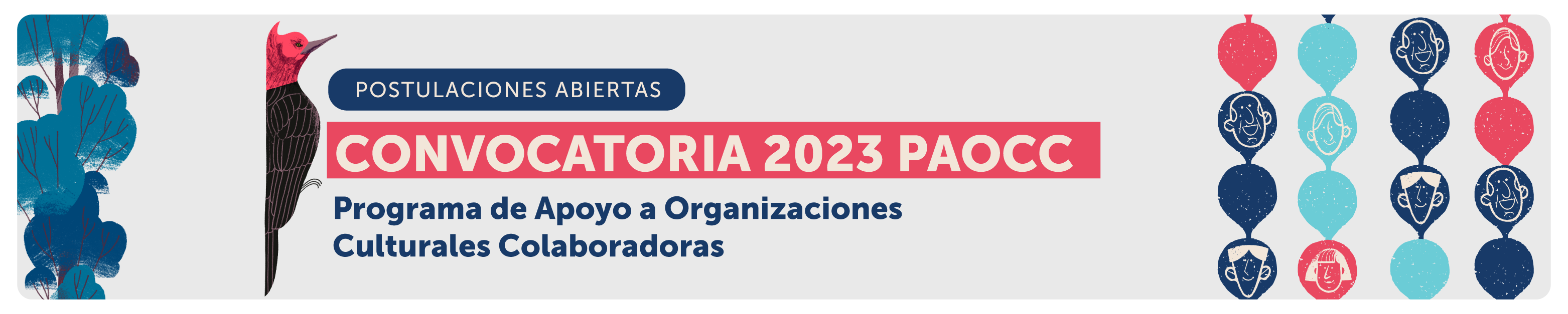 convocatoria paocc 2023